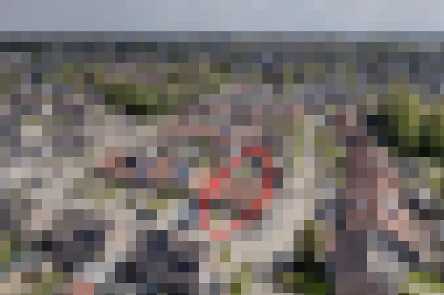 Afschrijver 13 Sappemeer thumbnail 6