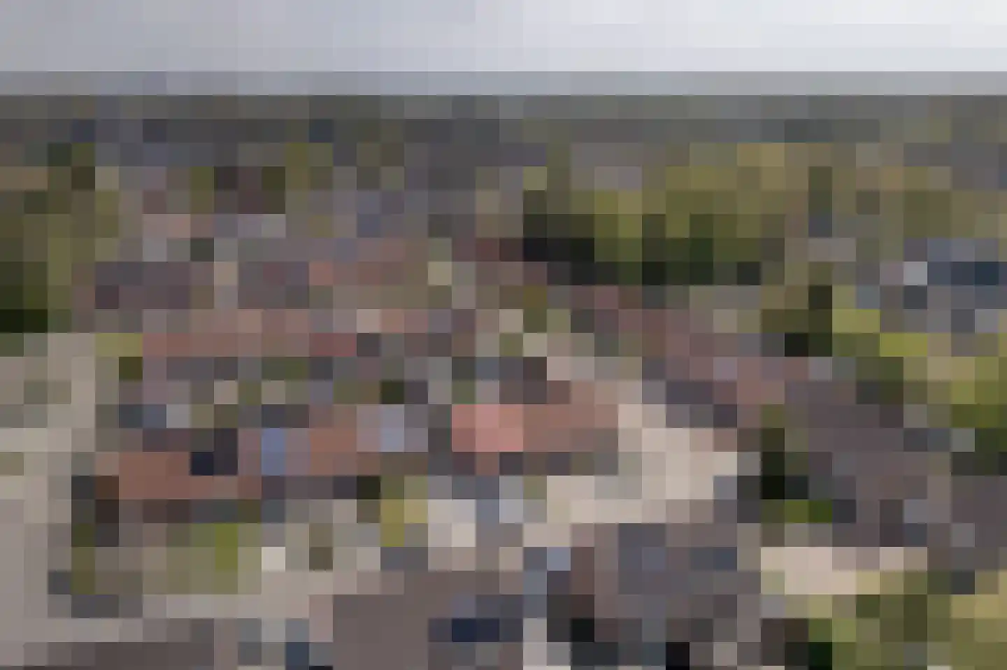 Afschrijver 13 Sappemeer thumbnail 7