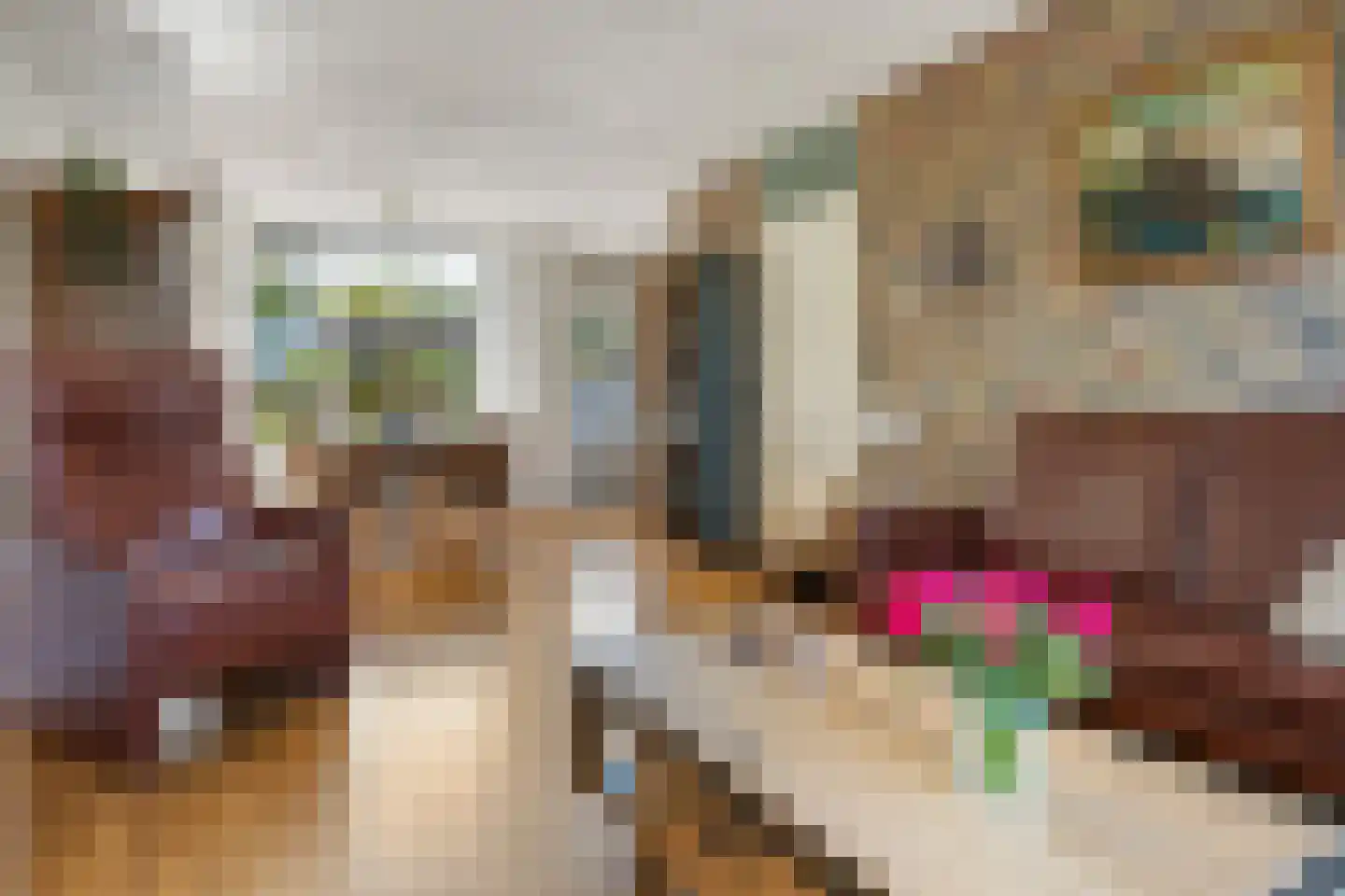Afschrijver 18 Sappemeer foto 2