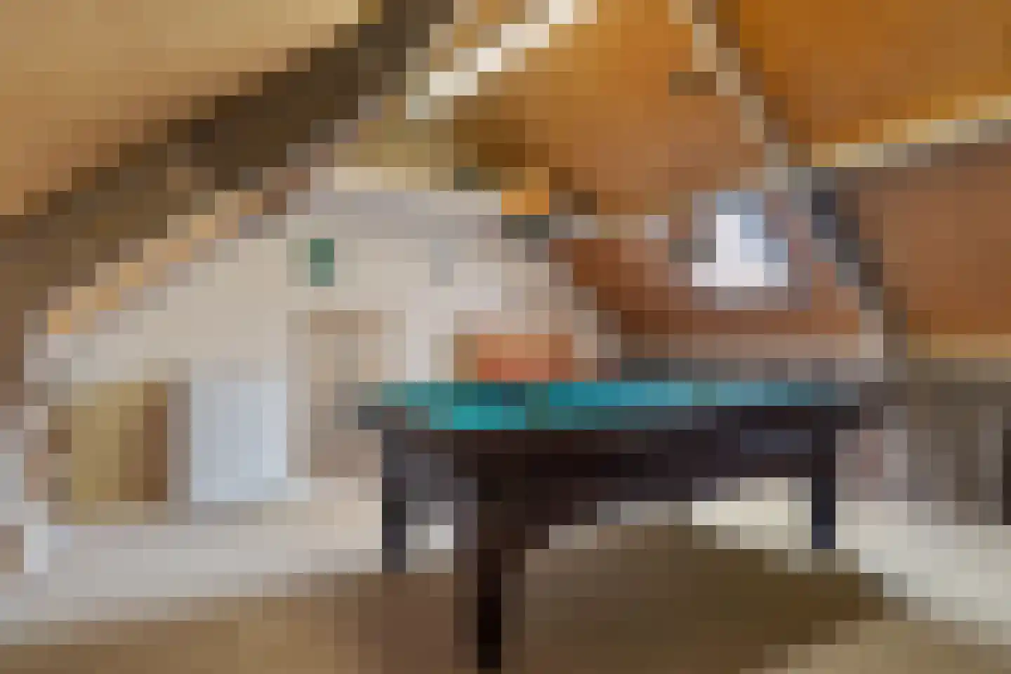 Afschrijver 18 Sappemeer thumbnail 28