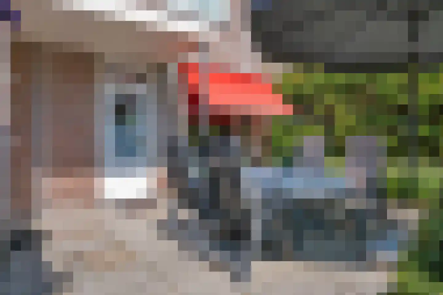 Afschrijver 18 Sappemeer thumbnail 30