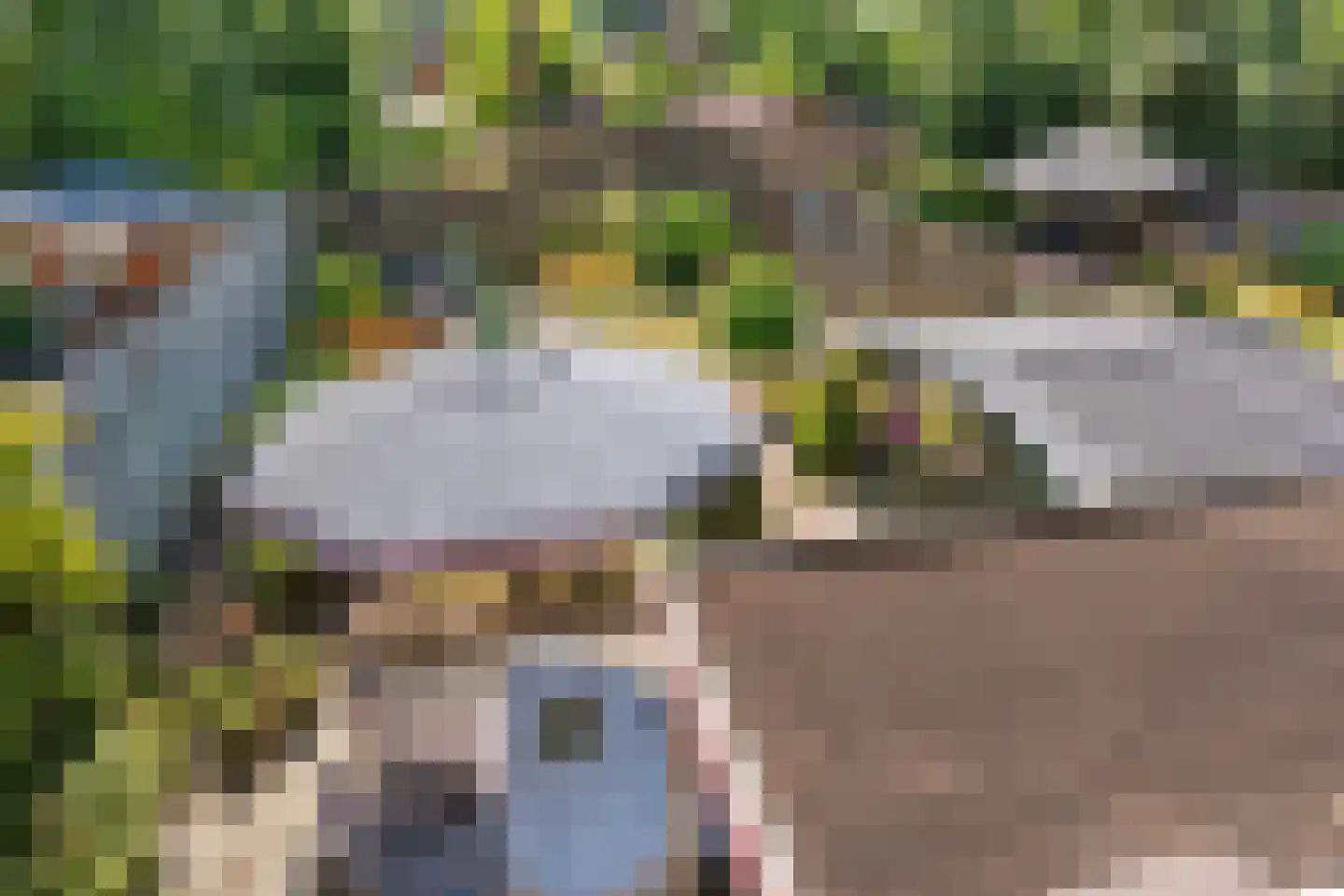 Afschrijver 18 Sappemeer thumbnail 39