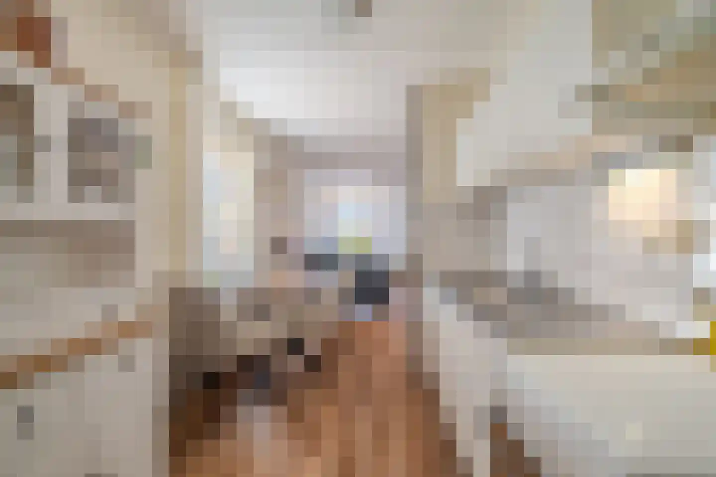 Afschrijver 22 Sappemeer thumbnail 17