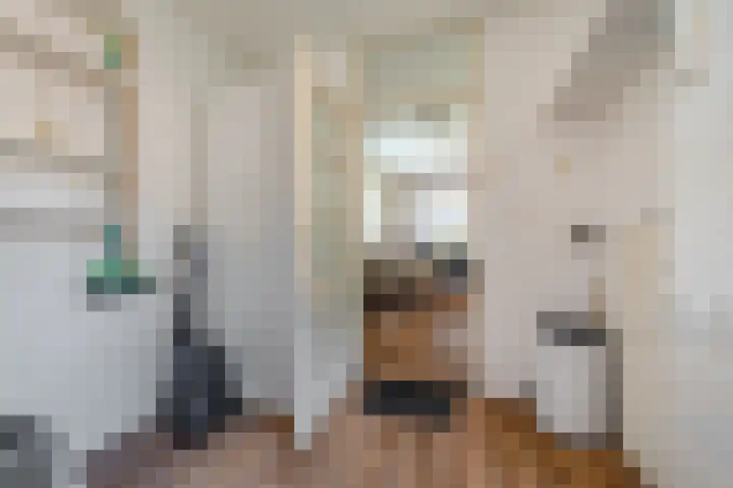 Afschrijver 22 Sappemeer thumbnail 19