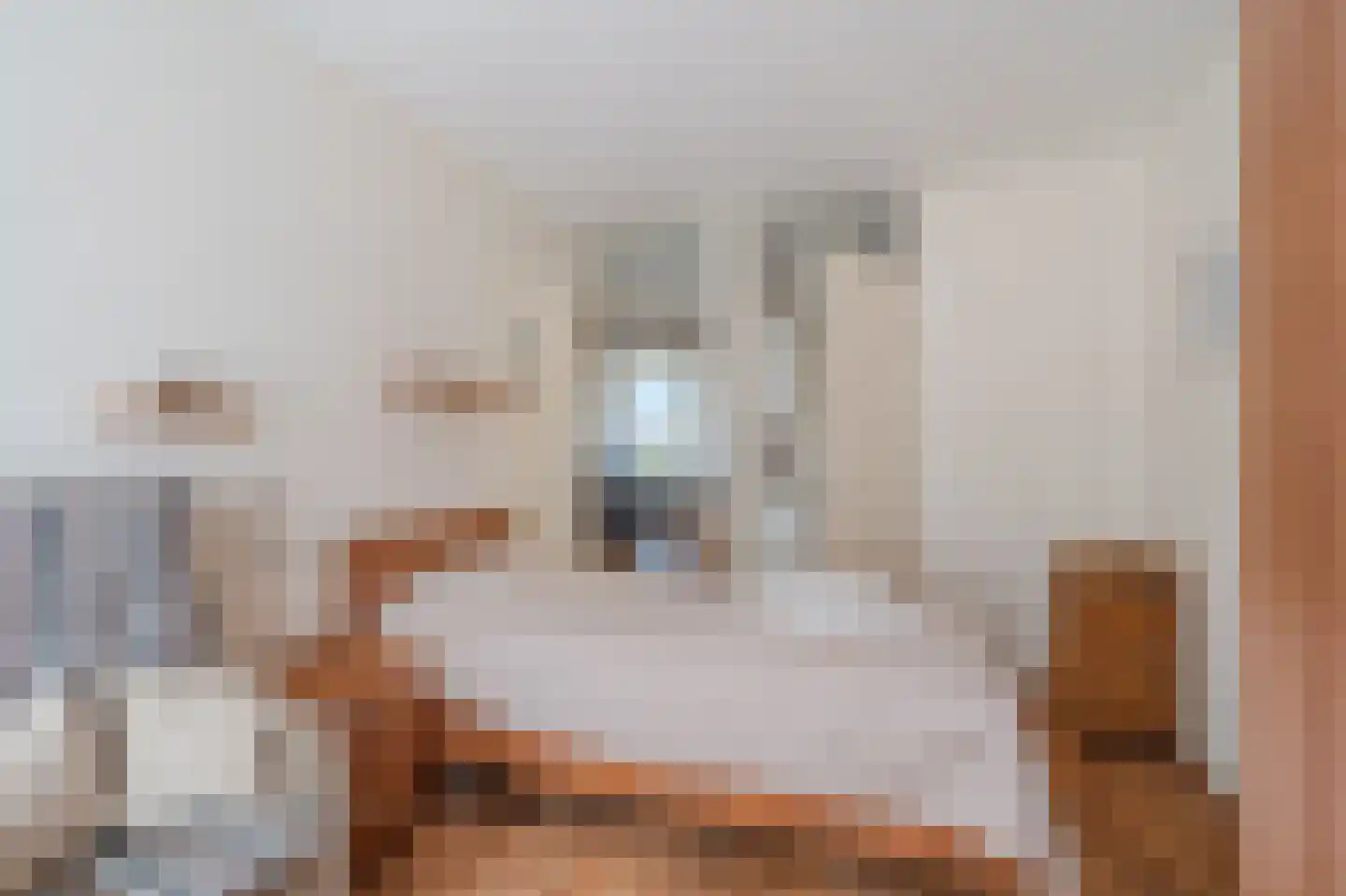 Afschrijver 22 Sappemeer thumbnail 23