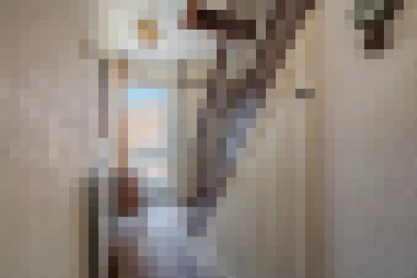 Afschrijver 22 Sappemeer thumbnail 27