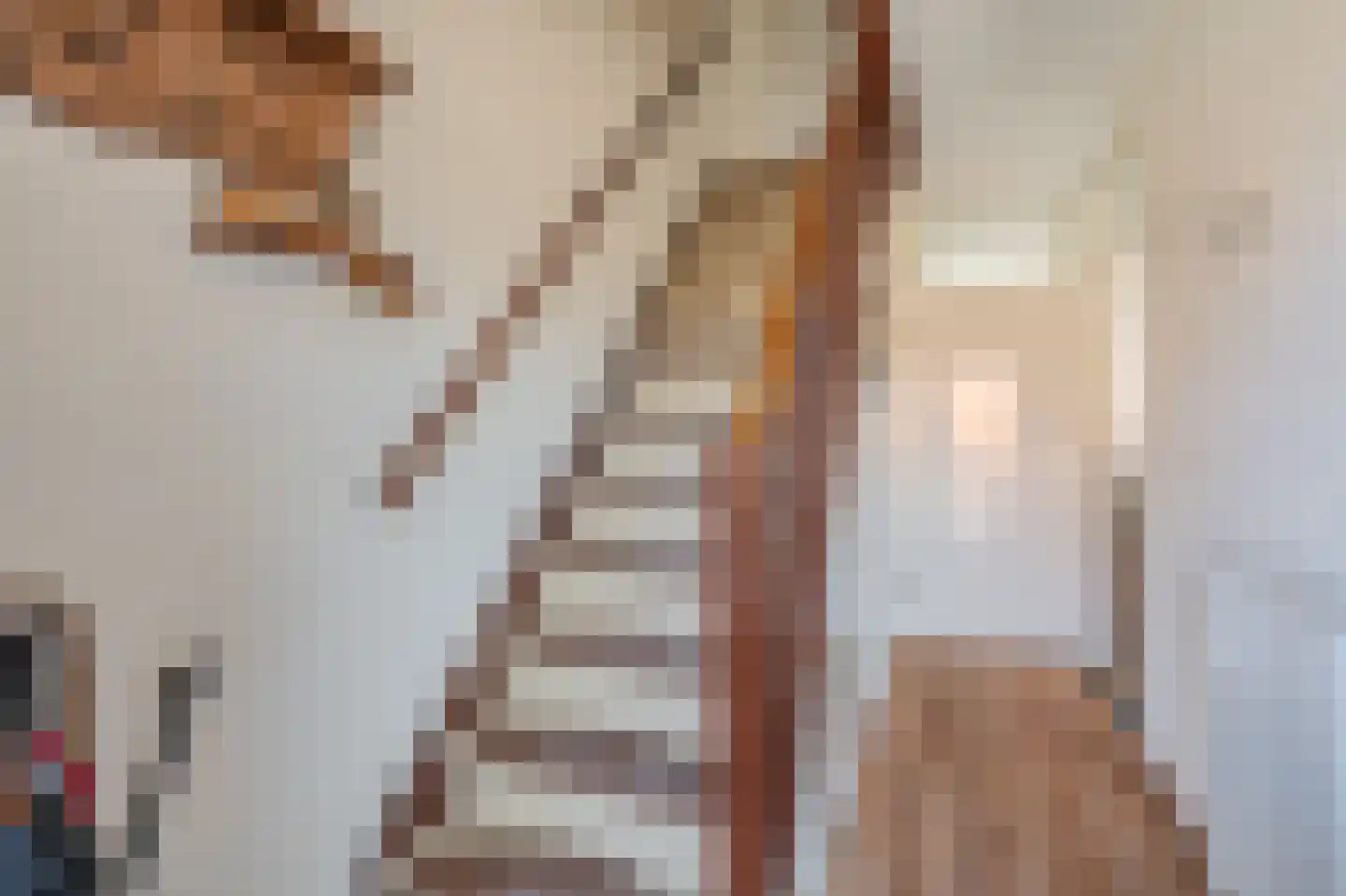 Afschrijver 22 Sappemeer thumbnail 28