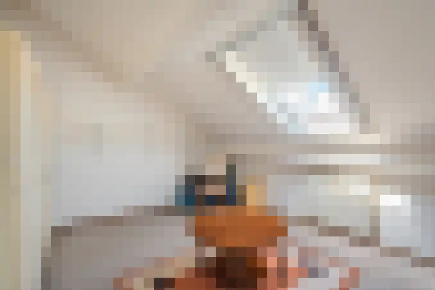 Afschrijver 22 Sappemeer thumbnail 30