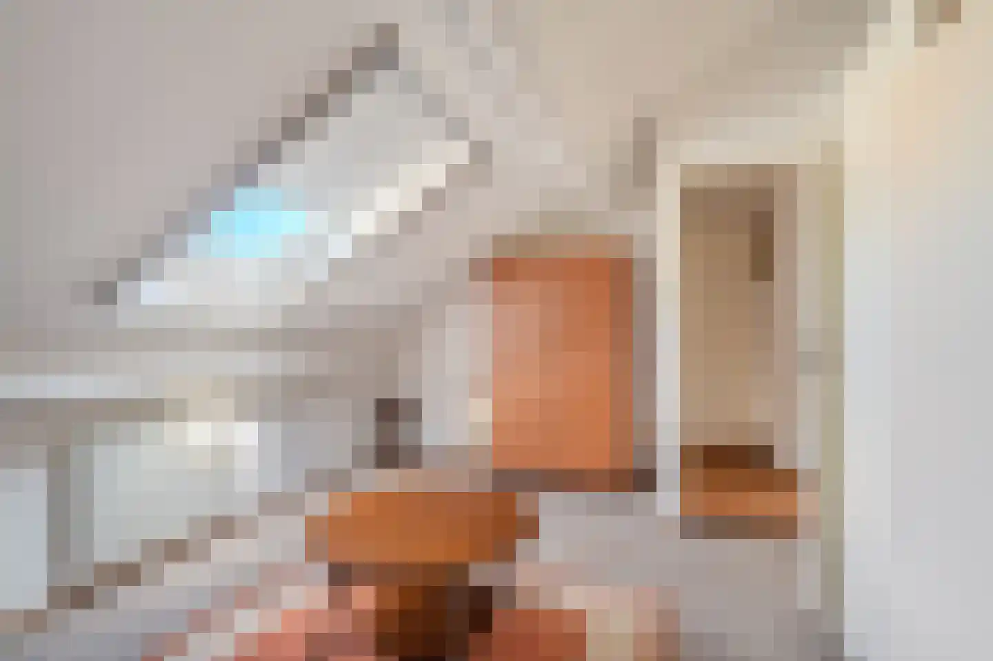 Afschrijver 22 Sappemeer thumbnail 31