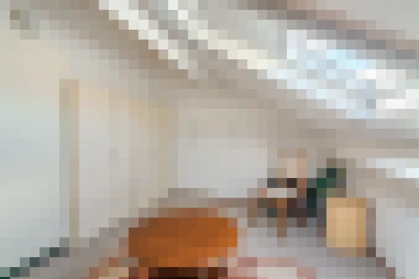 Afschrijver 22 Sappemeer thumbnail 32