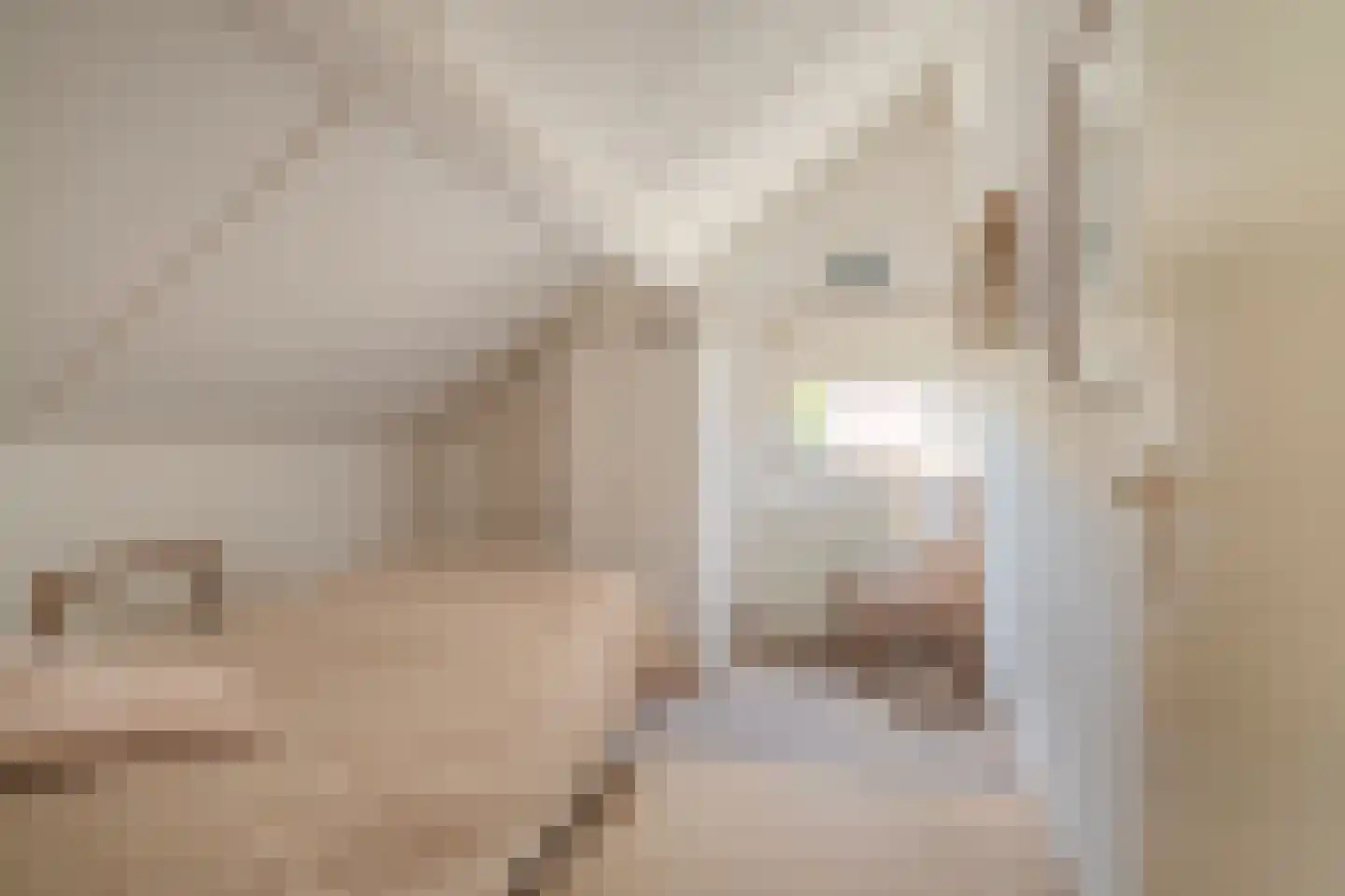 Afschrijver 22 Sappemeer thumbnail 33
