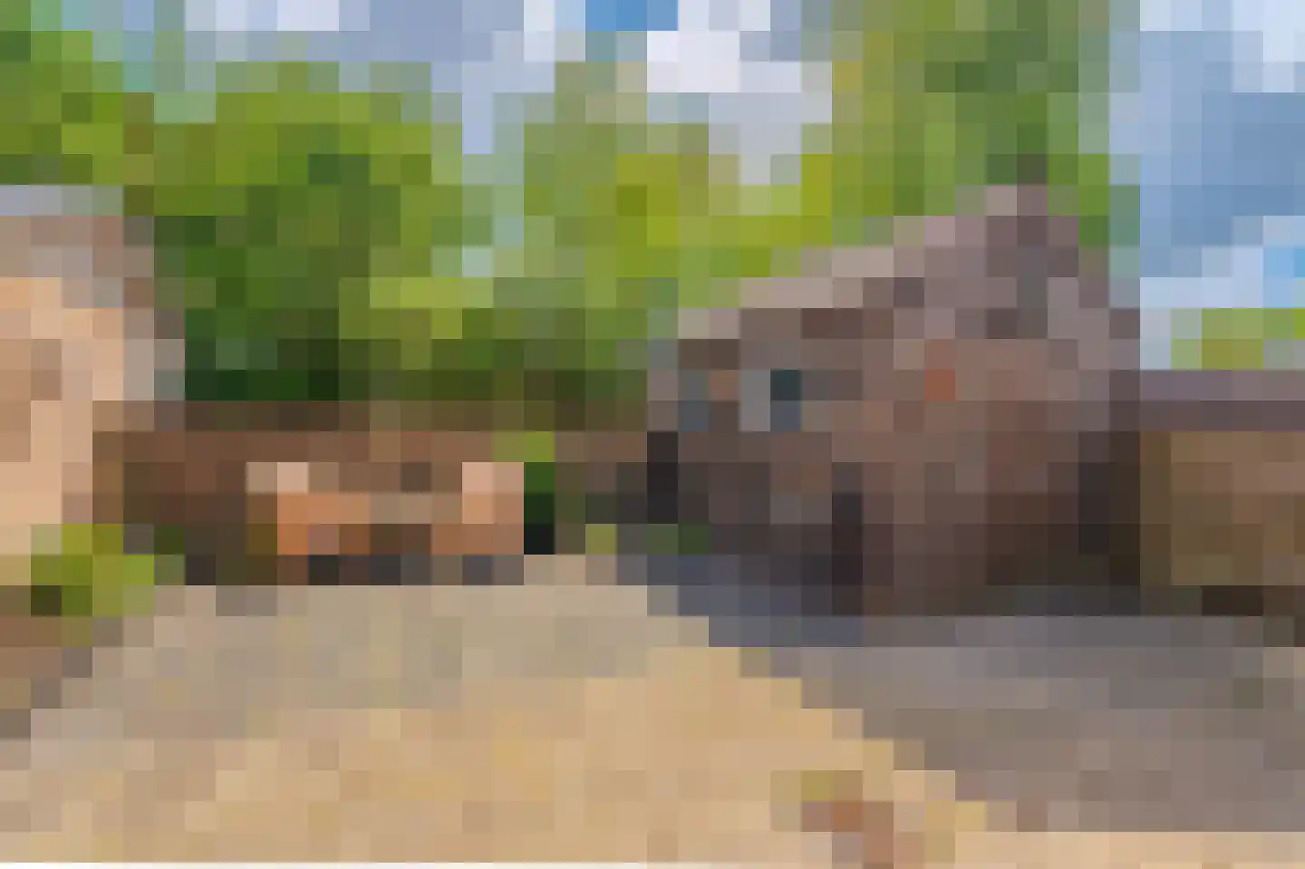 Afschrijver 22 Sappemeer thumbnail 38
