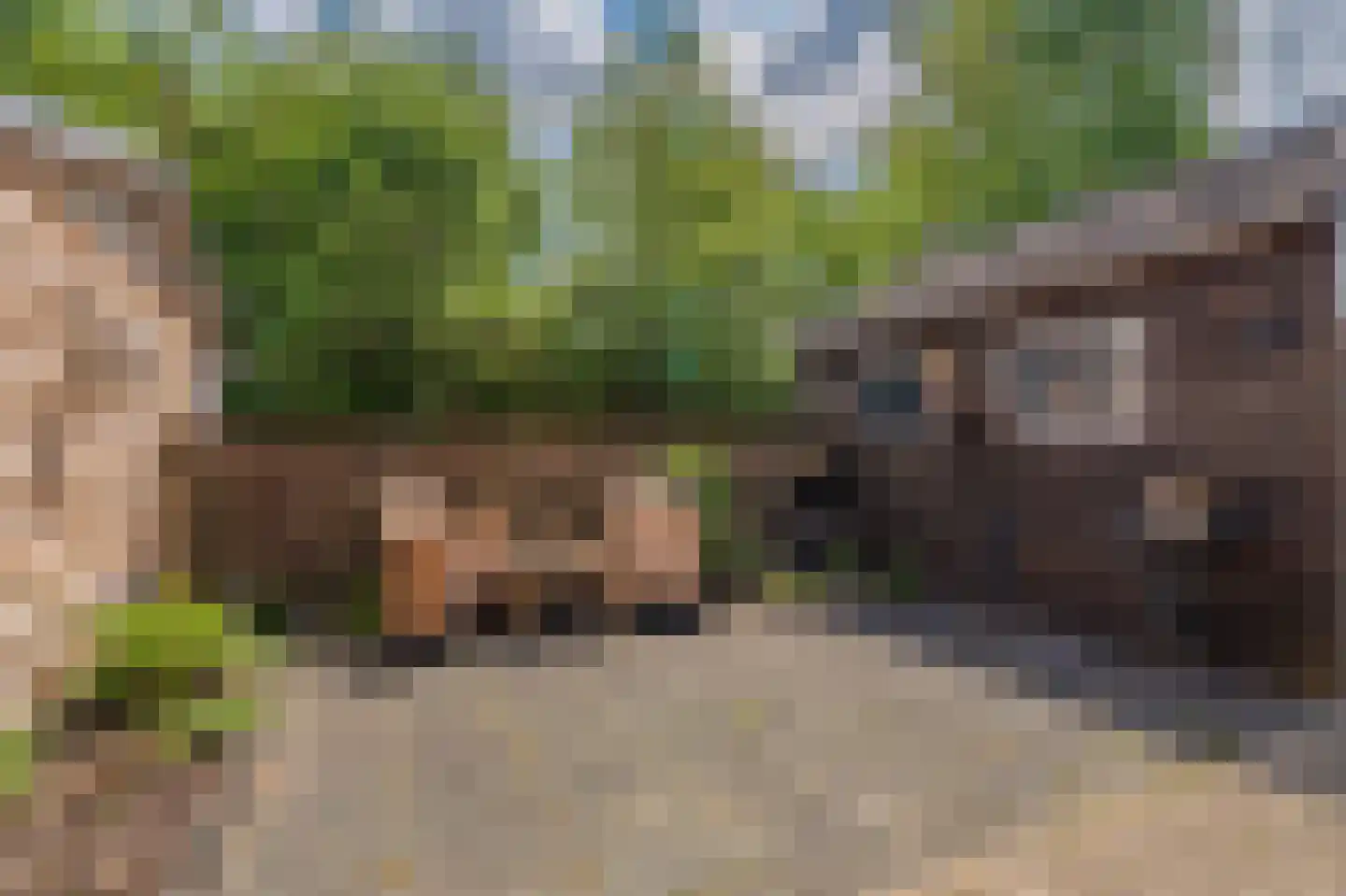 Afschrijver 22 Sappemeer thumbnail 39
