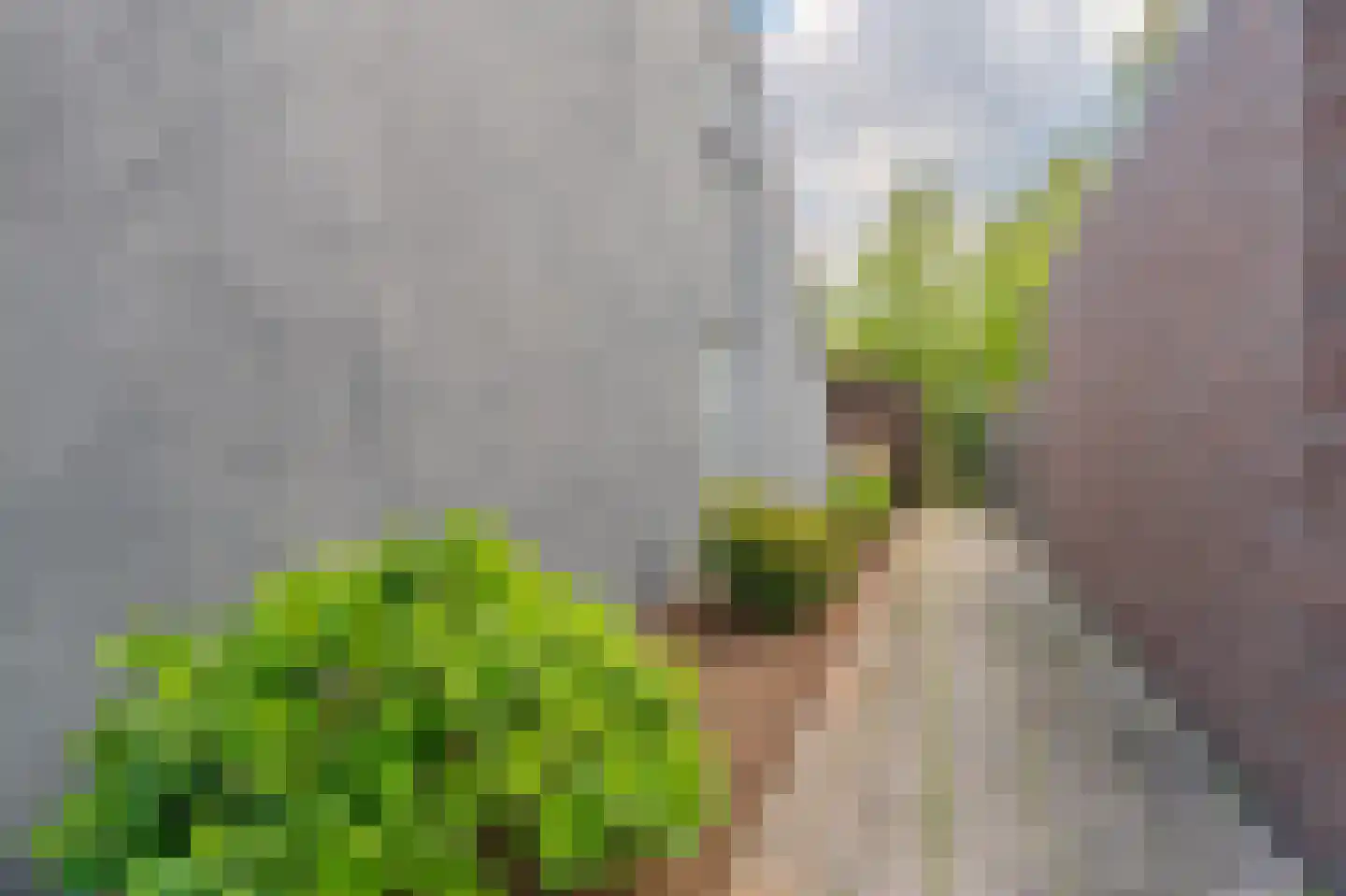 Afschrijver 22 Sappemeer thumbnail 41
