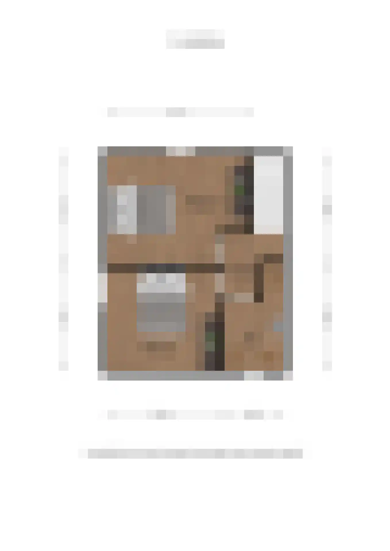 Afschrijver 22 Sappemeer thumbnail 47