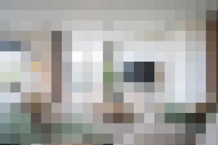 Afslaander 12 Heukelum thumbnail 10