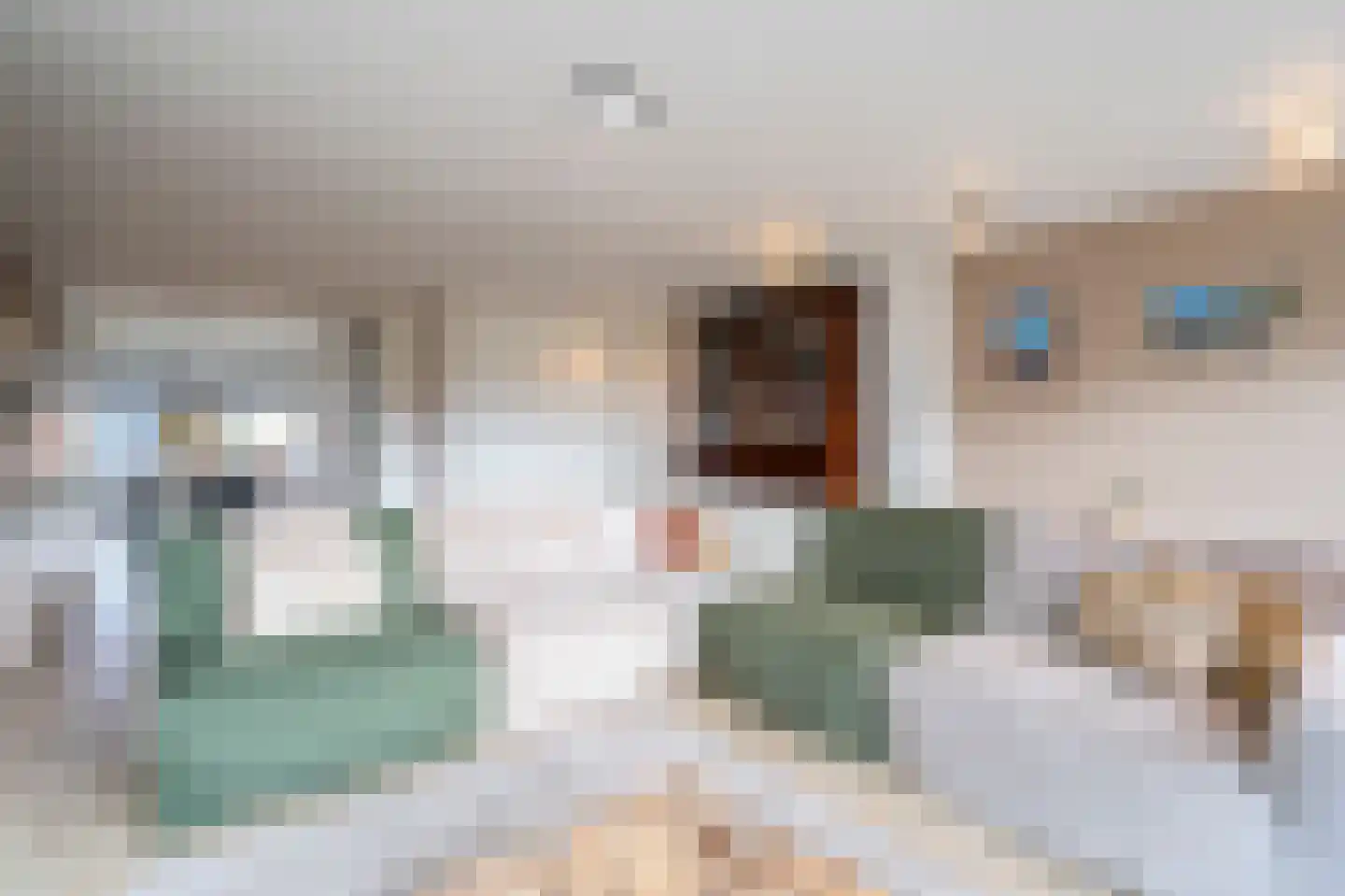 Afslaander 12 Heukelum thumbnail 12