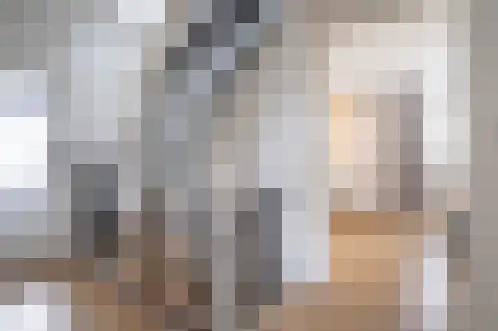 Afslaander 12 Heukelum thumbnail 20
