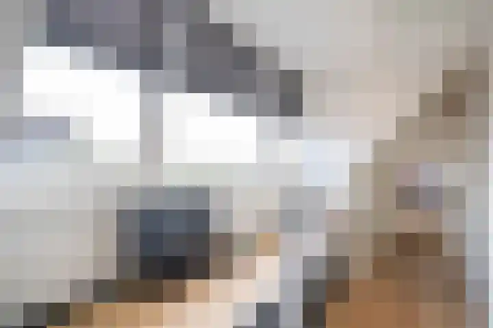 Afslaander 12 Heukelum thumbnail 25