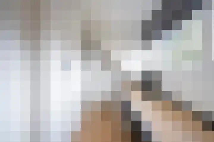 Afslaander 12 Heukelum thumbnail 26