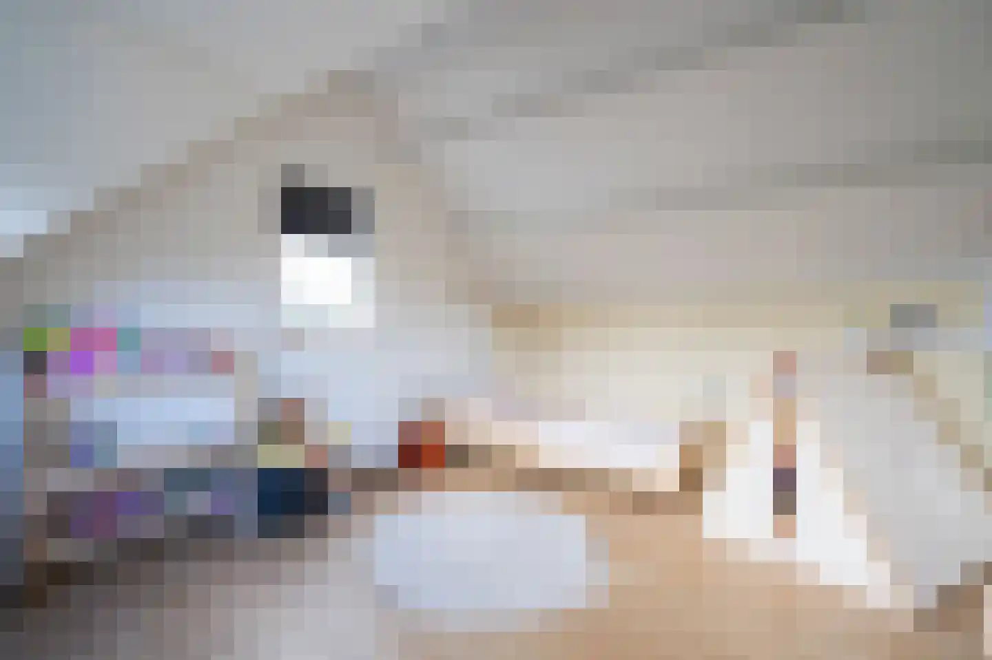 Afslaander 12 Heukelum thumbnail 27