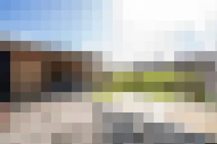 Afslaander 12 Heukelum thumbnail 38
