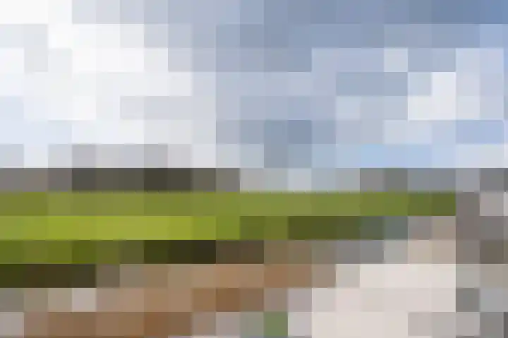 Afslaander 12 Heukelum thumbnail 42