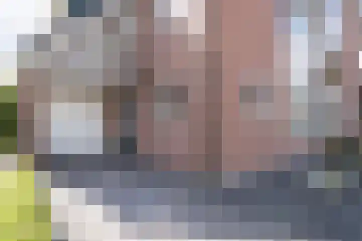 Afslaander 12 Heukelum thumbnail 7