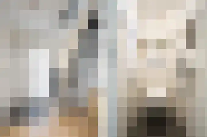 Afslaander 12 Heukelum thumbnail 8