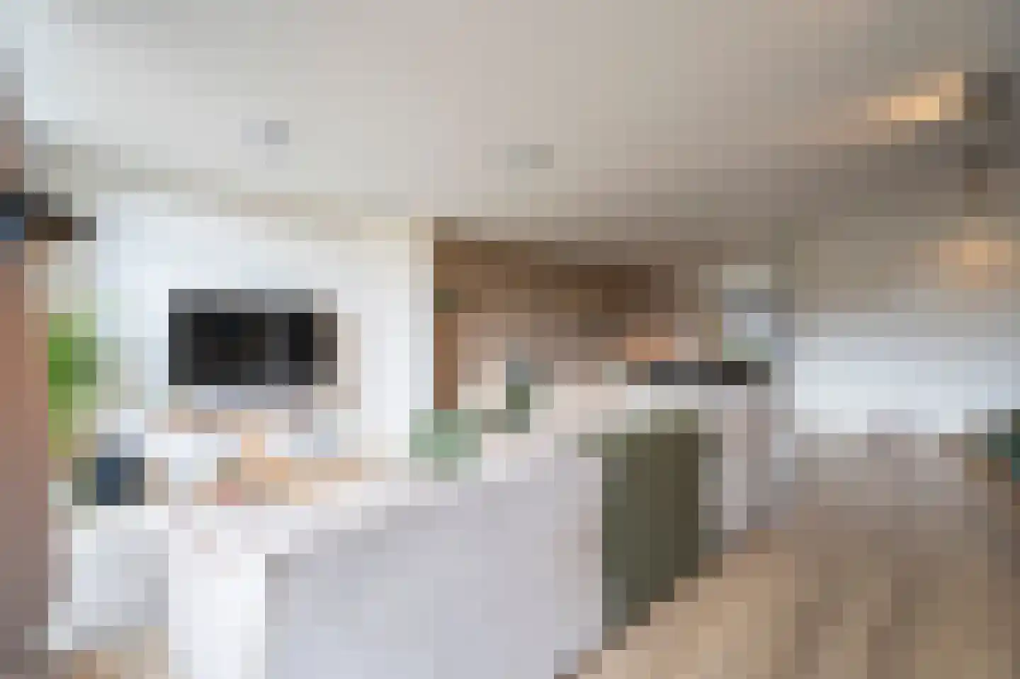 Afslaander 12 Heukelum thumbnail 9