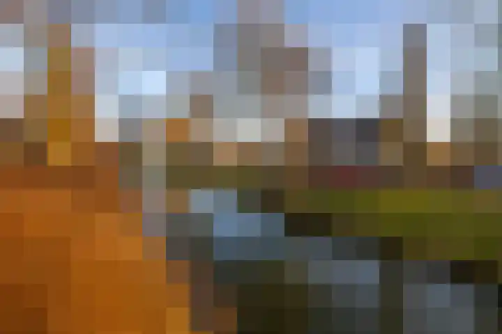 Afslag 10 Hardinxveld-Giessendam thumbnail 32