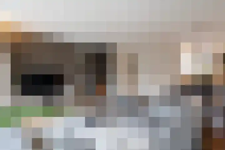 Afslag 10 Hardinxveld-Giessendam thumbnail 6