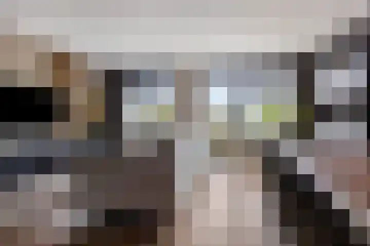 Afslag 19 Zwijndrecht thumbnail 13