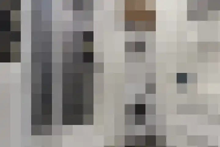 Afslag 19 Zwijndrecht thumbnail 18