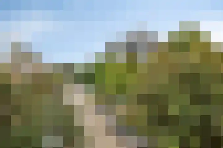 Afslag 19 Zwijndrecht thumbnail 20