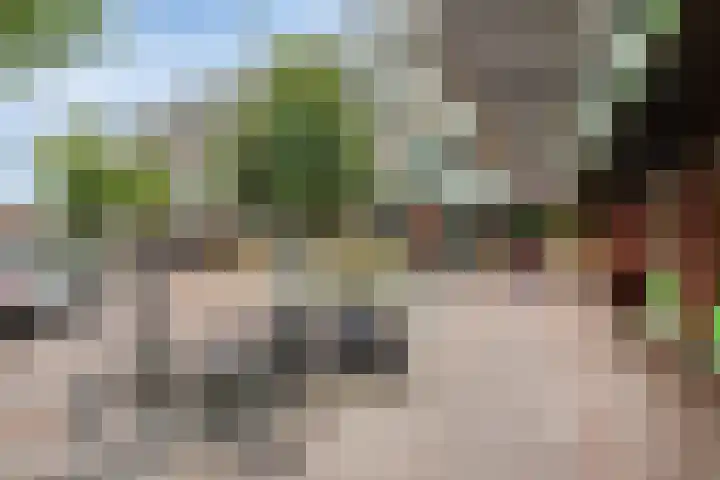 Afslag 19 Zwijndrecht thumbnail 21