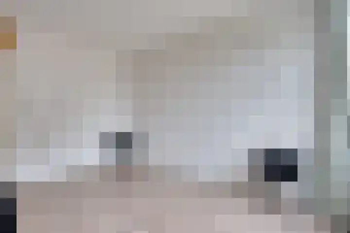 Afslag 9 Zwijndrecht thumbnail 13