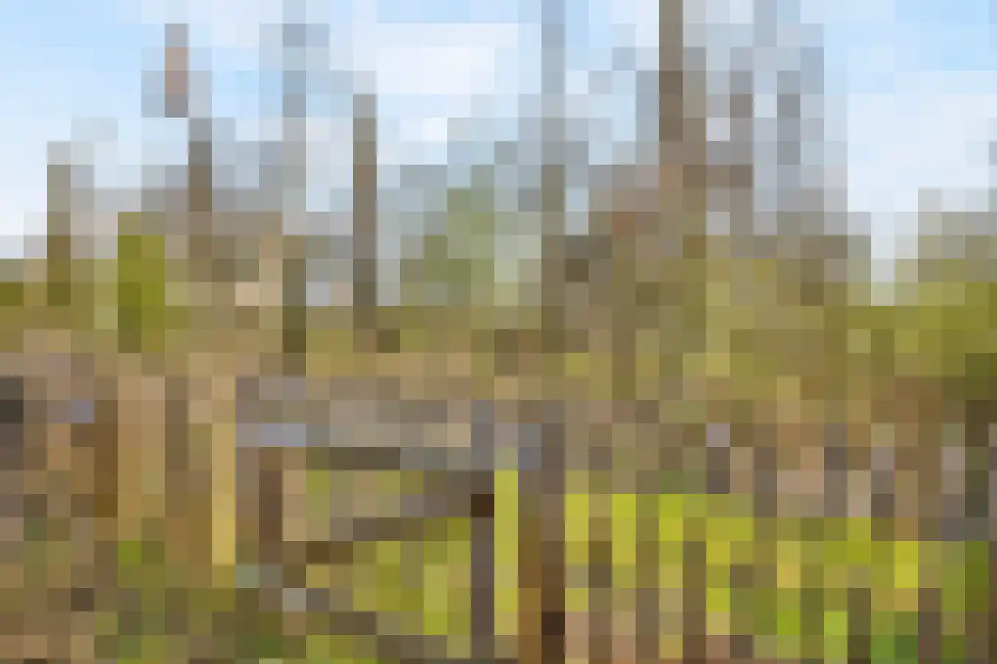 Afsluitdijk 5 Arnhem thumbnail 16