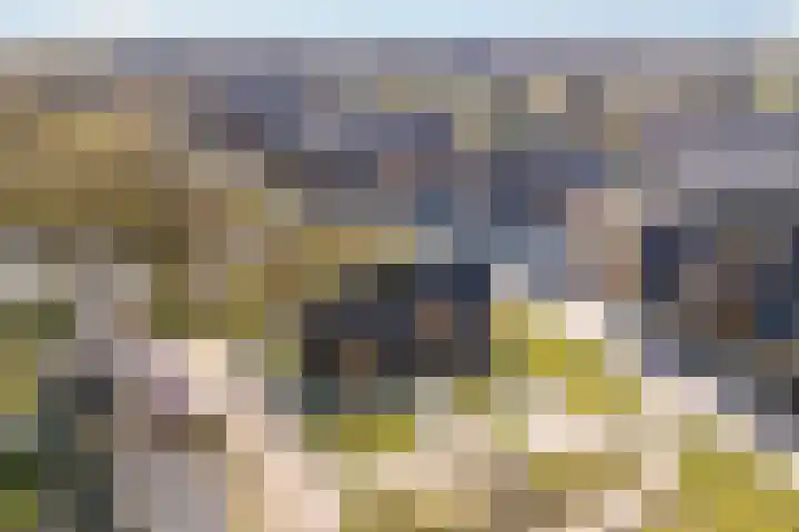 Afsluitdijk 5 Arnhem foto 2