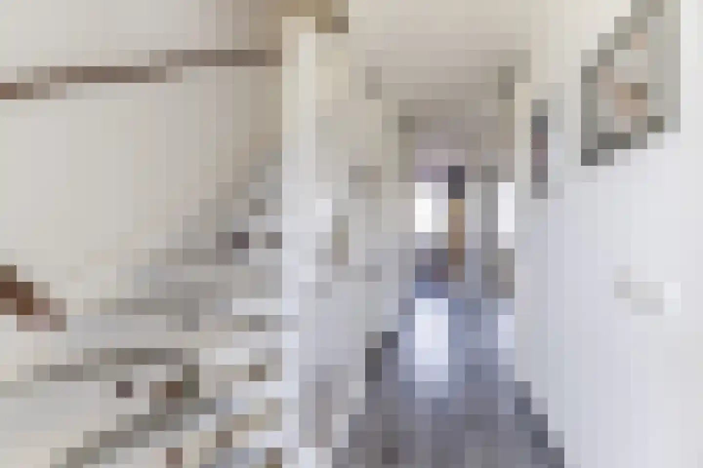 Aftrap 17 Gilze thumbnail 21
