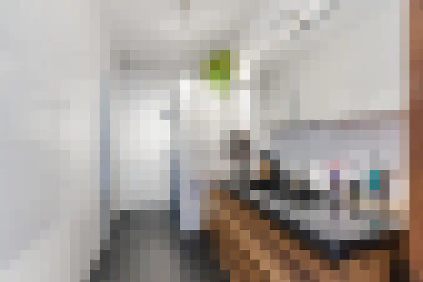 Aftrap 17 Gilze thumbnail 28