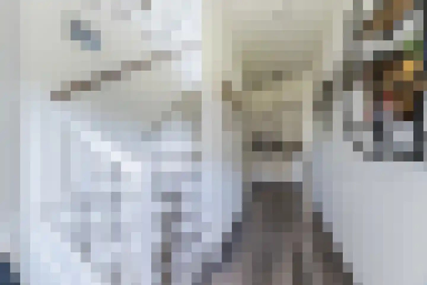 Aftrap 17 Gilze thumbnail 6