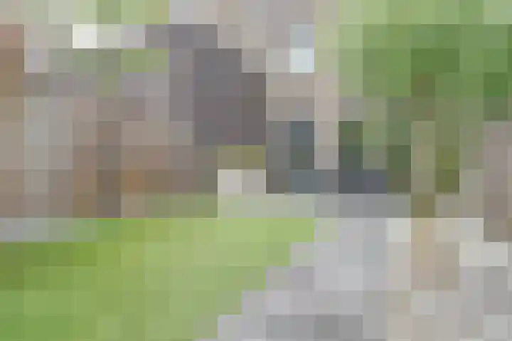 Aftrap 5 Gilze thumbnail 37