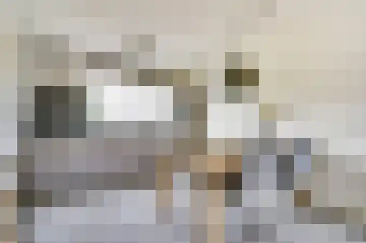 Aftrap 5 Gilze thumbnail 4