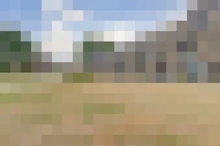Aftrap 5 Gilze thumbnail 42