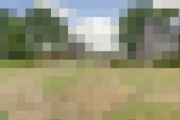 Aftrap 5 Gilze thumbnail 44