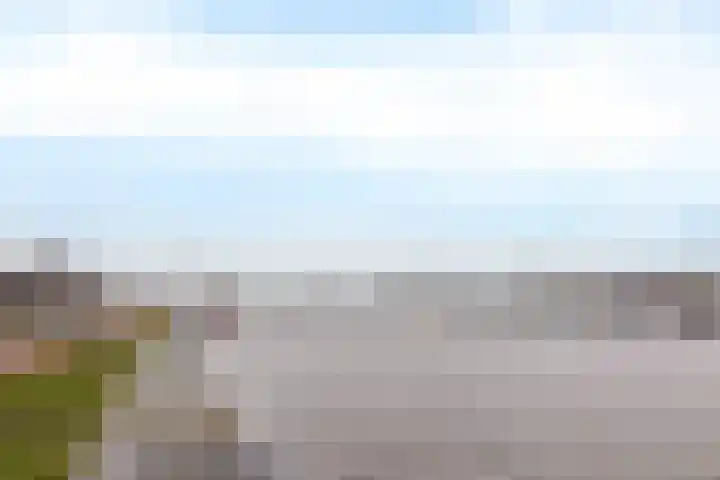 Afwateringskanaal 33 A Farmsum thumbnail 39