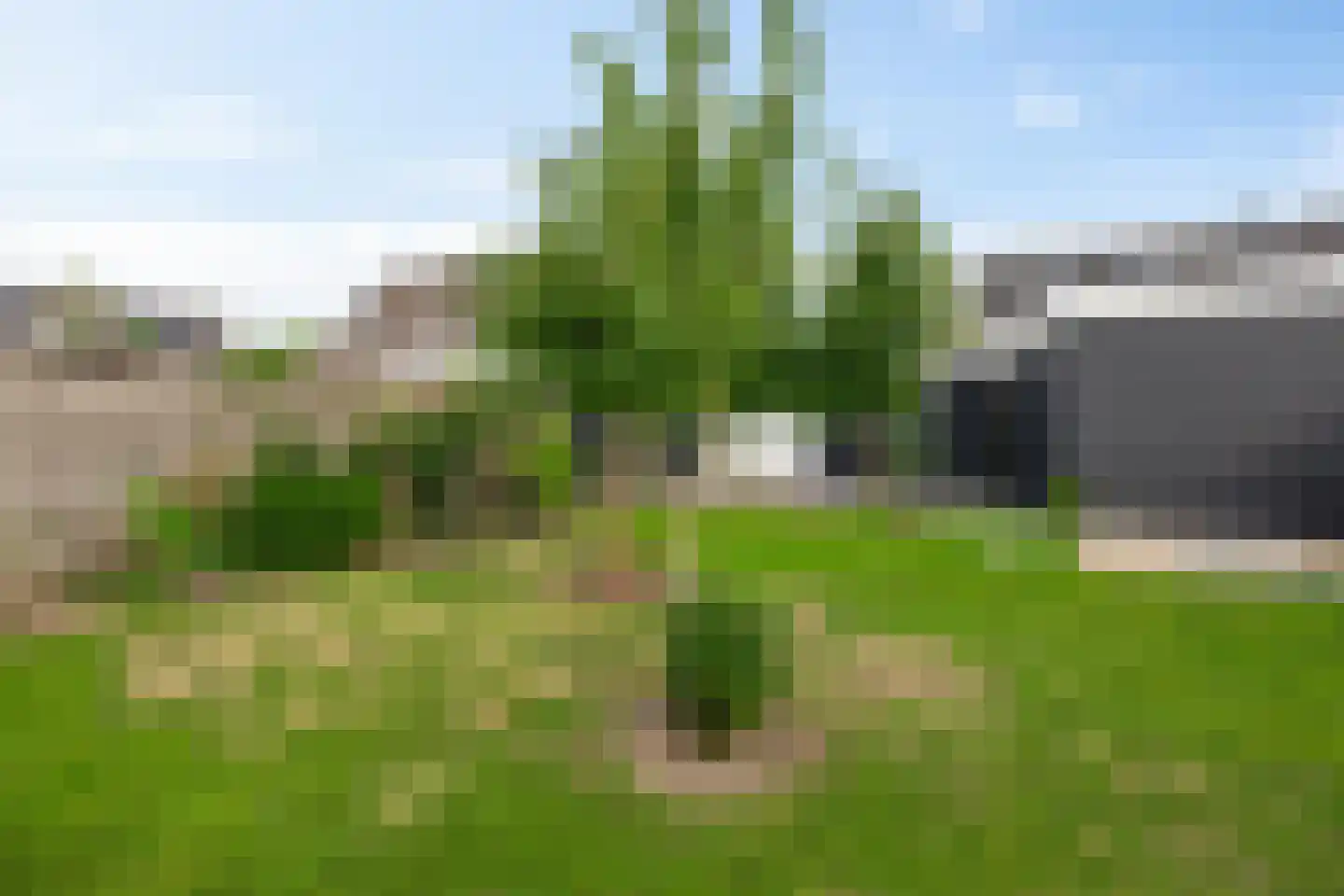 Afwateringskanaal 59 Farmsum thumbnail 49