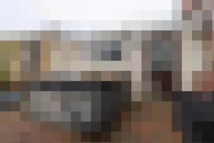 Afwateringskanaal 67 Farmsum thumbnail 23