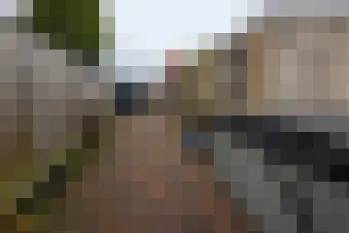 Afwateringskanaal 67 Farmsum thumbnail 24